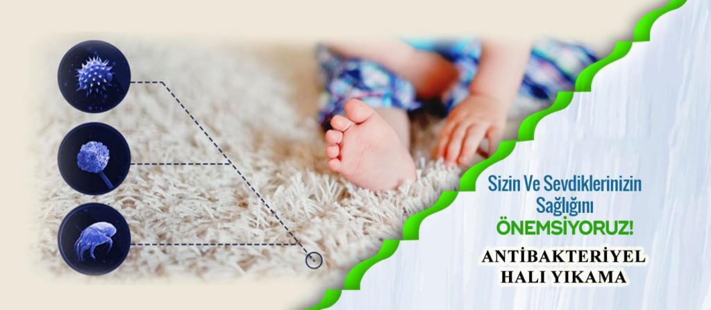 mersinhaliyikamamersin